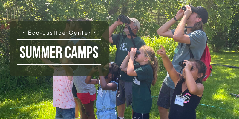 Summer Camps | Eco-Justice Center – Racine, WI